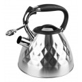 Non-electric kettle MAESTRO MR-1322 stainless steel