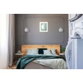 Activejet Classic single wall lamp - IRMA nickel E27 for the living room